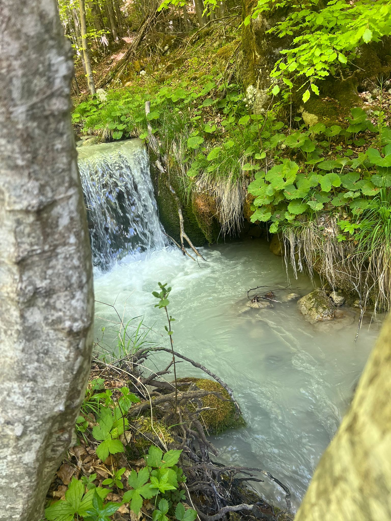 4 maggio Acqua Bianca &ldquo;Camminare a Ventasso&rdquo;